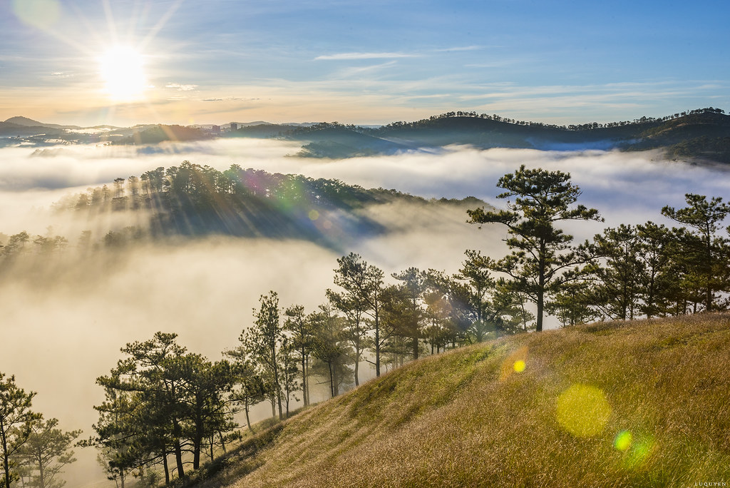 When is the Best time to visit Dalat to have the greatest trips?