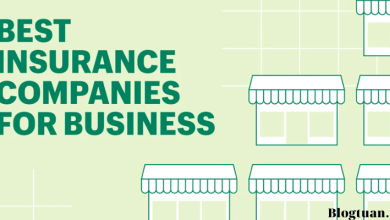 Top 5 Online Business Insurance Companies You Should Know