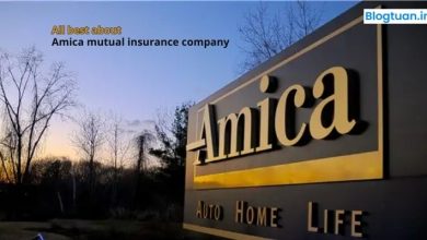 All best about Amica mutual insurance company